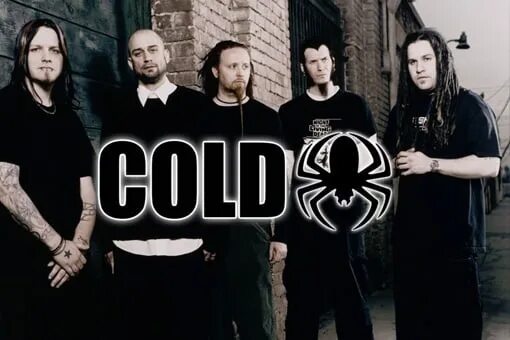 Cold Band. Cold рок группа. Cold группа 2020. Cold группа вокалист. Группа cold