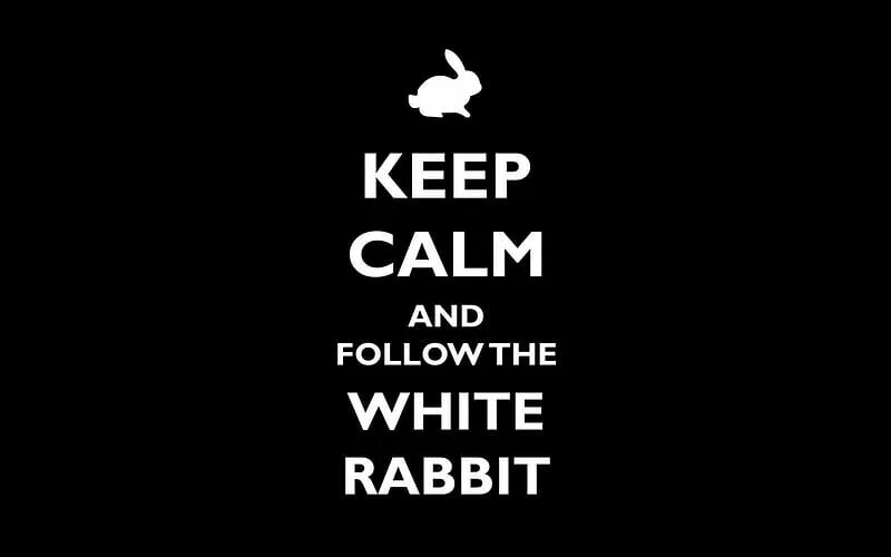 Keep black. Иди за белым кроликом. Следуй за белым кроликом. Следуй за белым кроликом матрица. Надпись иди за белым кроликом.