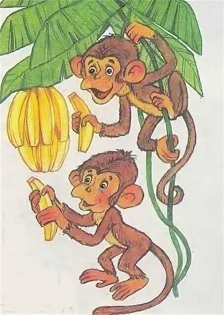 Сказочная обезьянка. Обезьяна на Пальме. Иллюстрация про обезьянку. Мартышка с бананом. Песня от улыбки обезьяна подавилась бананом