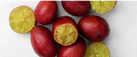 Какие фрукты скрещены