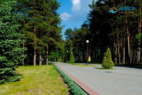 Сердечно сосудистый санаторий белоруссия