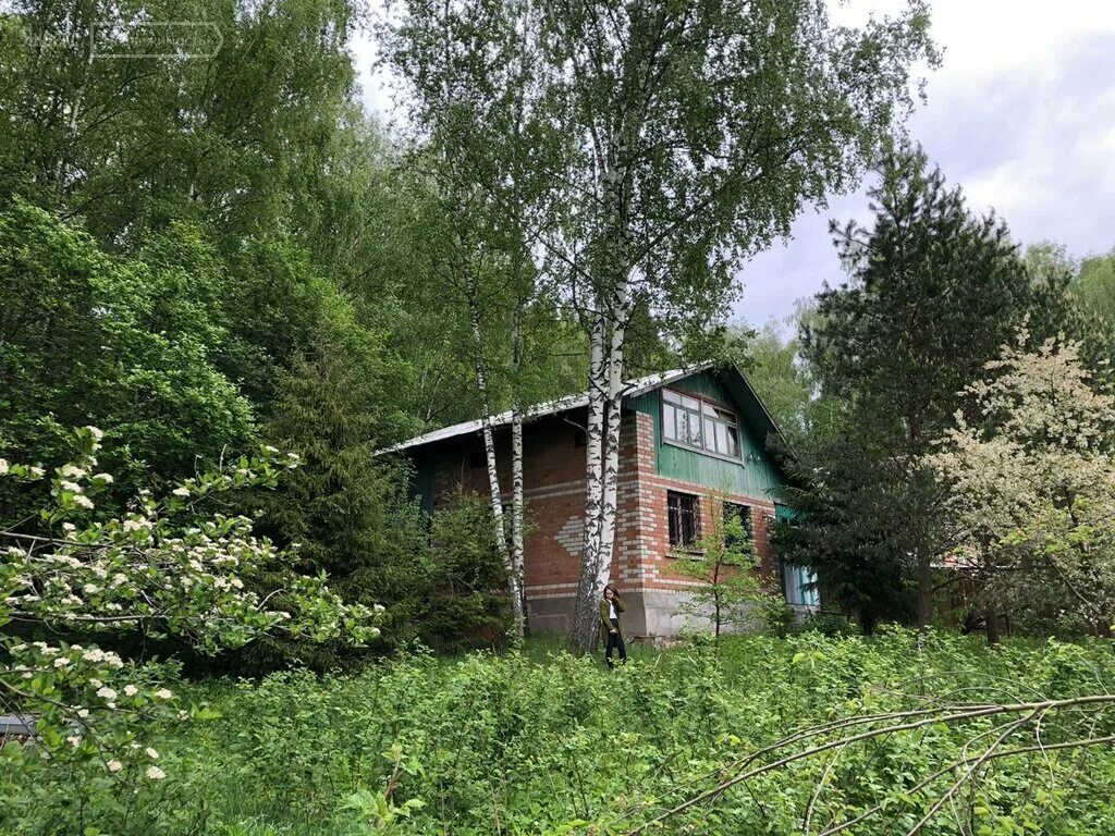 Снт. Дача снт роща. Снт роща южнее филиппово талдомский район. Дача снт роща. Снт роща кубинка.