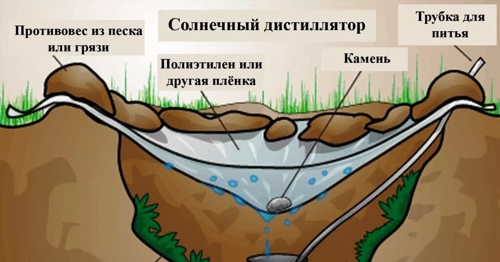 Где собирается вода