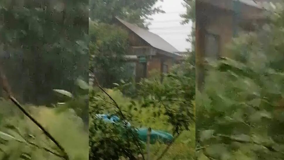 Страшный ураган в москве. Самый мощный ураган в москве. 07. В саду эрмитаж упало дерево. Ураган в москве 1998.