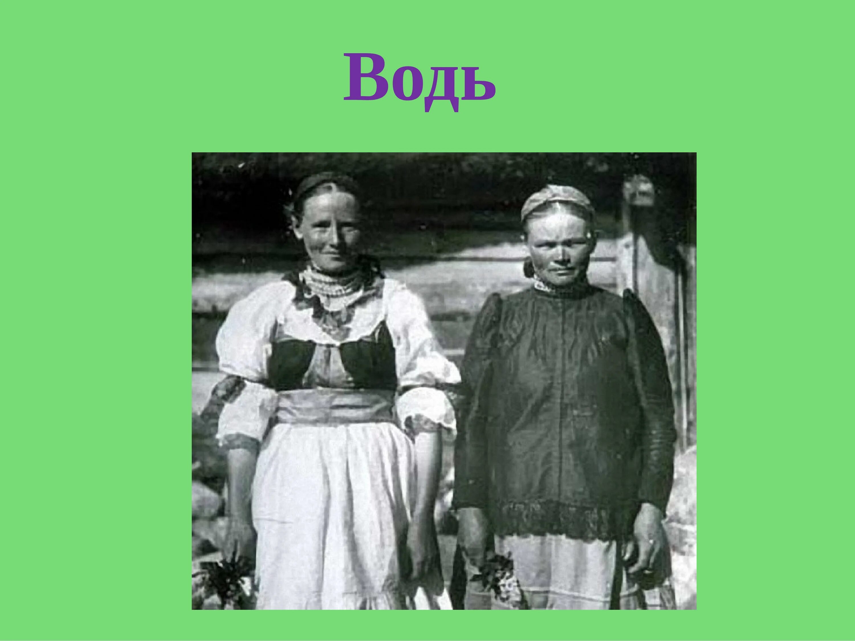 Вепсы Ижоры водь. Племя водь внешность. Вожане водь народ. Водь народ России.