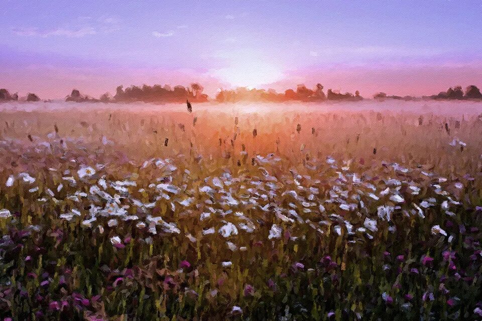 родные просторы россии. родные просторы борисоглебск. безбрежный синий простор. выйдешь на простор. конь в поле на рассвете.