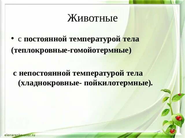 Выберите животных не имеющих постоянной температуры тела. Животные с непостоянной температурой тела называются. пойкилотермные. гомойотермные. гомойотермные животные.