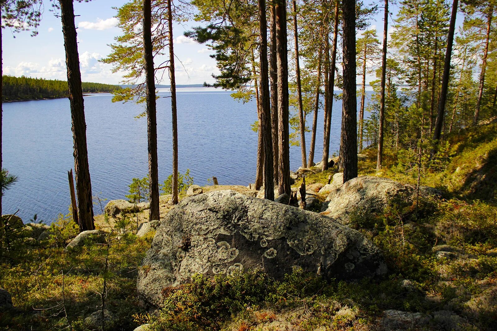 Озеро среднее озерное. Озеро верхнее Куйто. Озеро Куйто Карелия. Озеро верхнее Пулонгское, Северная Карелия.. Карелия голубое озеро Куйто.