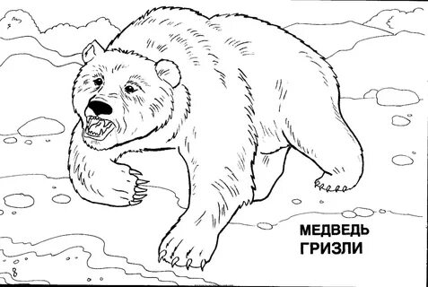 Слово медведь рисунок