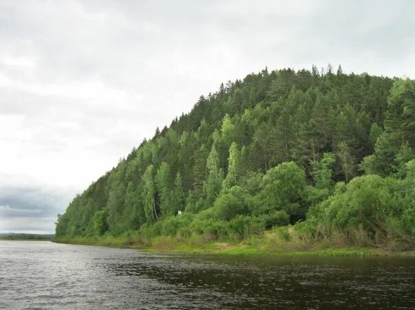 Слинкинские Суводи. Суводи Кировская область. Река Суводь Кировская область. Суводи Кировская область Оричевский район.