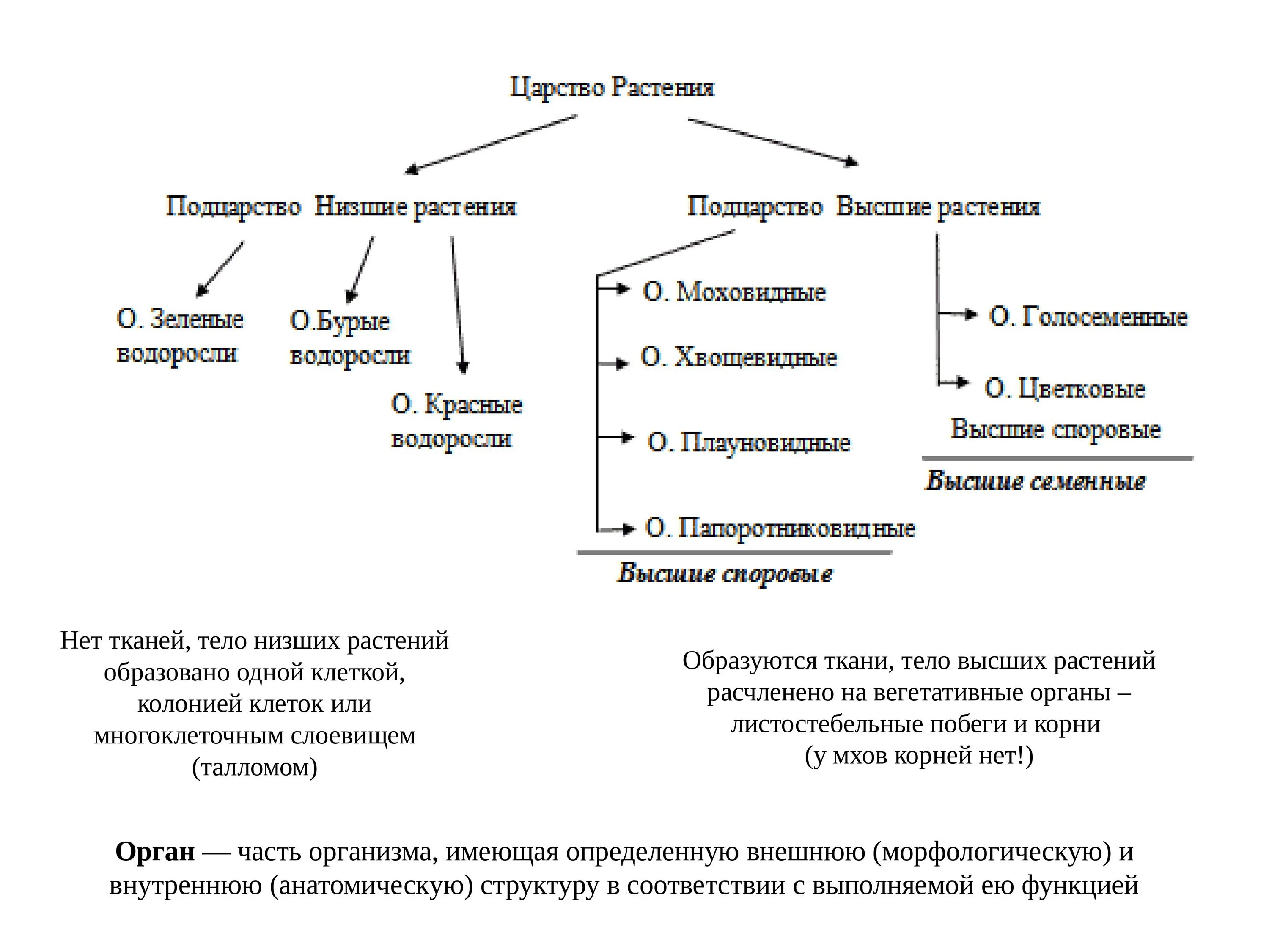 Основная характеристика низших растений. Растения низшие и высшие схема. Систематика растений высшие и низшие растения. Царство растений высшие и низшие растения таблица. Характеристика высших и низших растений.