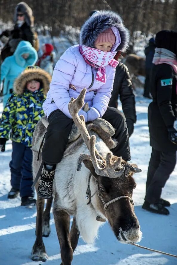 Эвенки оленеводы. Иенгра нерюнгринский район. День оленевода иенгра. Эвенки иенгра. День оленевода 2022 в якутии.