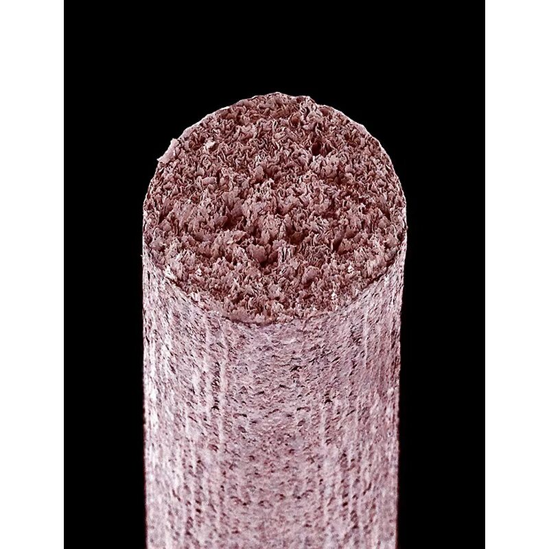 Что на спичке на головке. Разные вещи под микроскопом. Обычные предметы под. Обычные предметы под. Разные вещи под микроскопом.