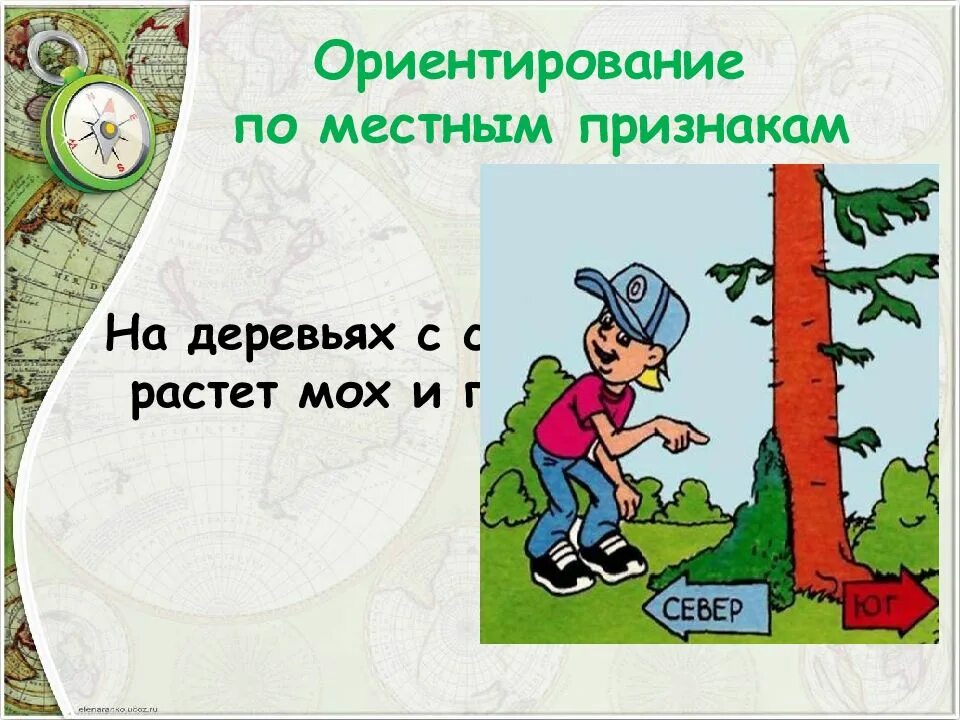 География 5 6 класс ориентирование на местности. Ориентирование на местности. ориентироваться по местности. ориентиры на местности. ориентирование по местности.