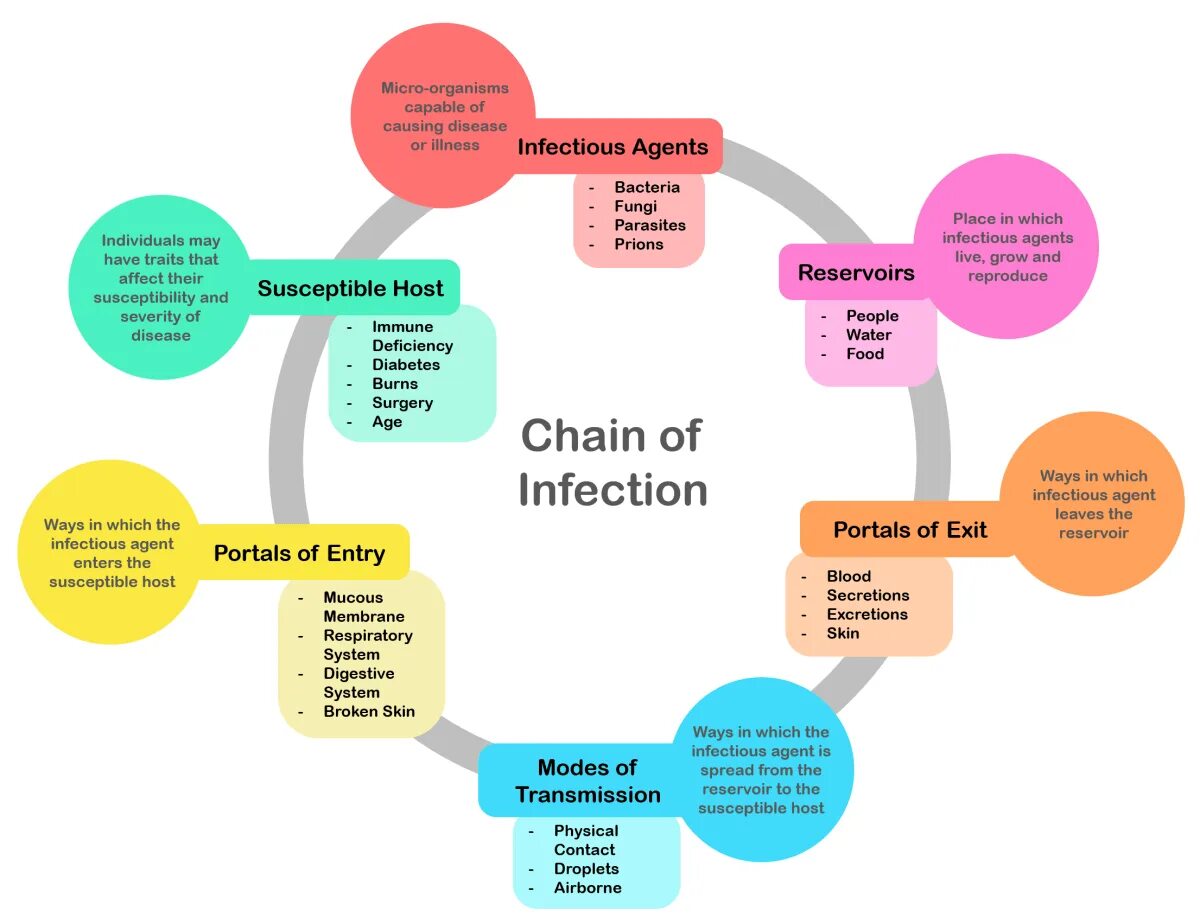 Chain of infection. Mechanism of transmission of infection. Ways and Modes of infection. Ways of transmitting Infectious diseases.