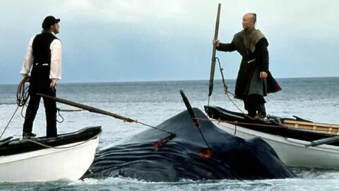 Trump contra Moby Dick.