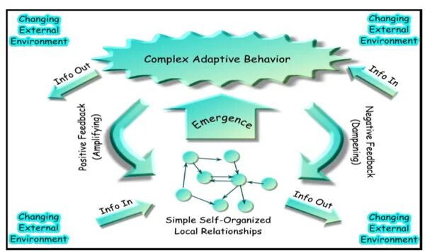 Система complex. Сложная система. complex systems. адаптивность сложных систем. complex knowledge.
