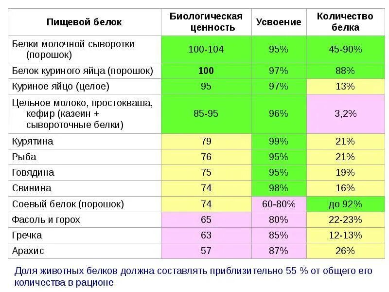 Сколько усваивается протеин