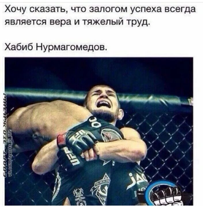 Бойцы цитаты. Цитаты бойцов. Мма высказывания. Цитаты бойцов. Мма цитаты.