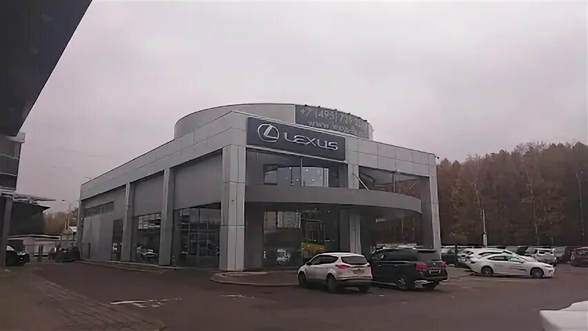 Тойота лосиный остров