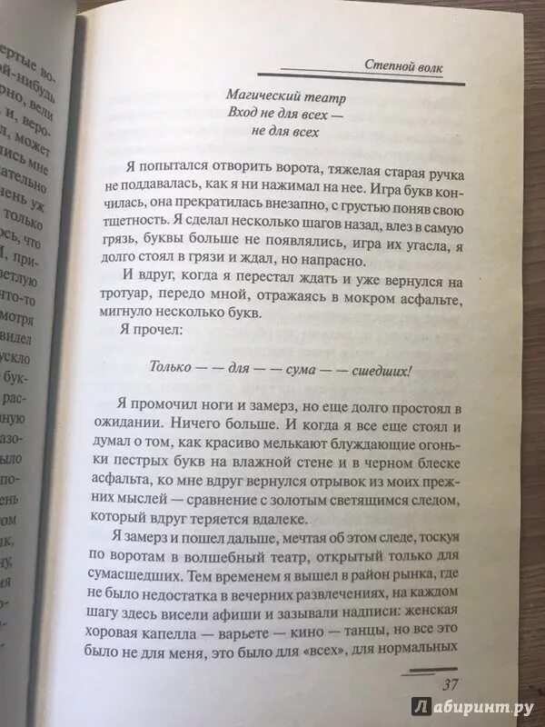 Степной волк книга иллюстрации.