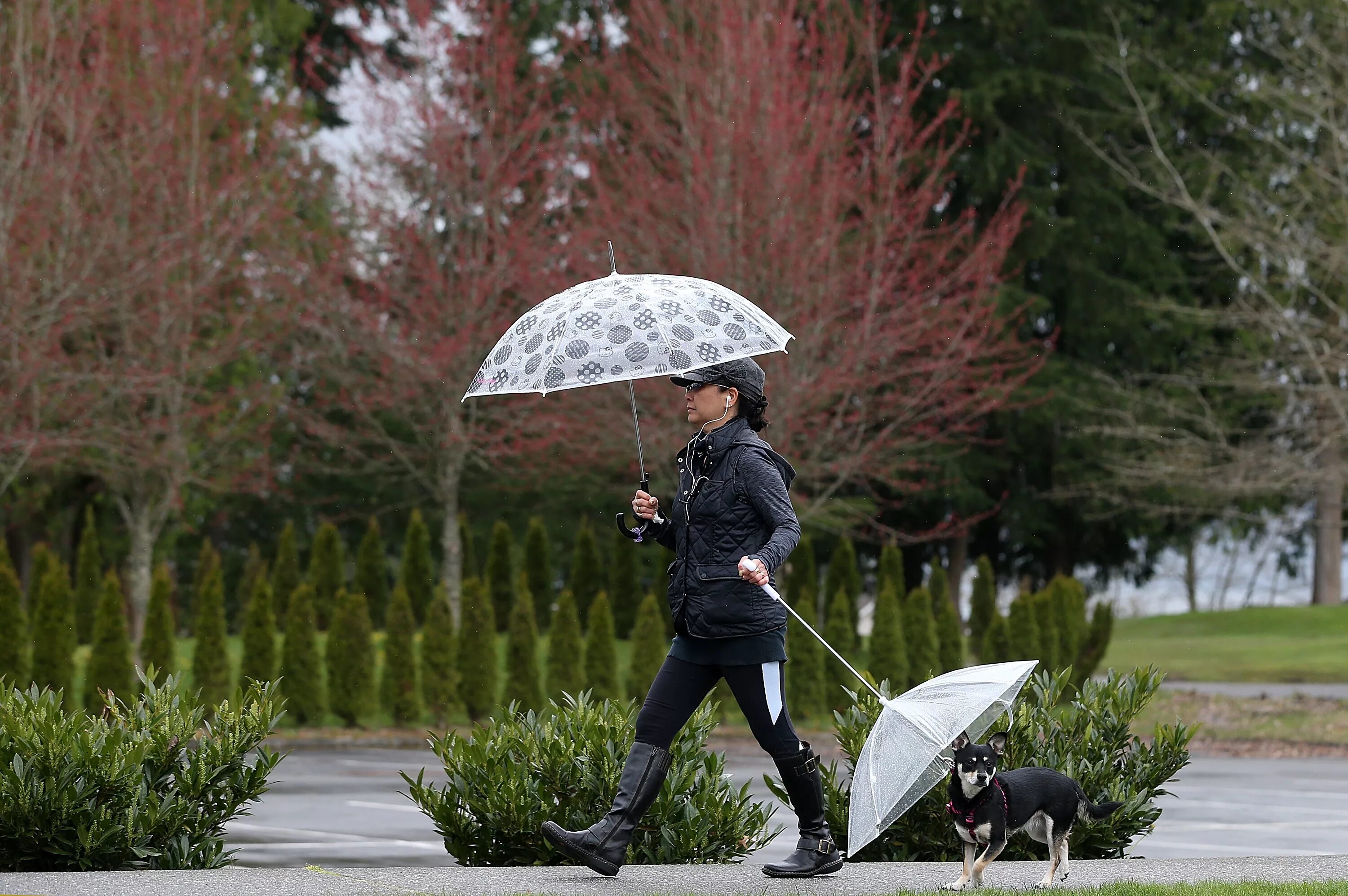 Дождевой зонт. Зонтик под дождем. Весенний зонтик. Фотосессия с зонтиком. Одолжил ей зонтик