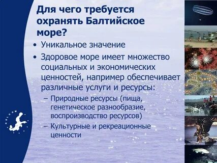 Балтийское море политика