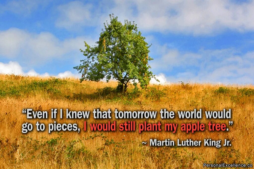 Even if i say. Tree of quotes. apple tree far away. quote on tree. sayings.