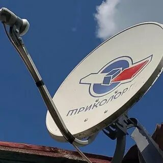 Фото тарелки триколор