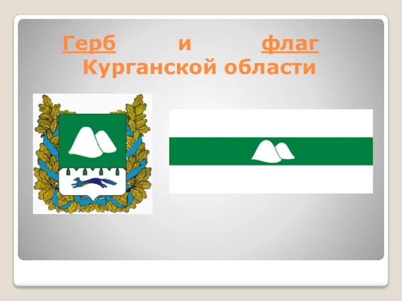 Когда образовалась курганская область. Герб и флаг Курганской области. Герб города Кургана Курганской области. Герб Зауралья Курганская область. Флаг Курганской области гербы Курганской области.