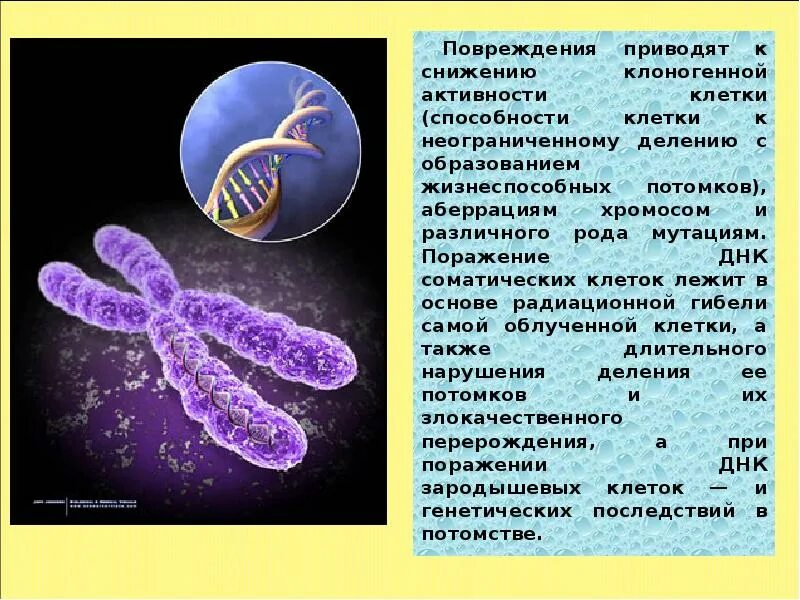 % Клеток с аберрациями хромосом. Клоногенные клетки. Способности клетки. Клоногенный потенциал клетки. Нарушения деления клеток