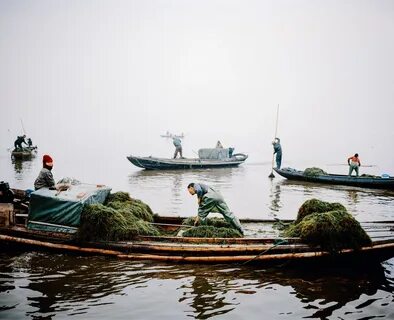 Годы жизни река