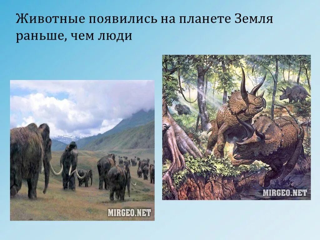Земля и животные раньше. Если бы на земле не было животных. что будет если исчезнут животные на земле. как появились животные на планете. что бы было если бы не было животных.