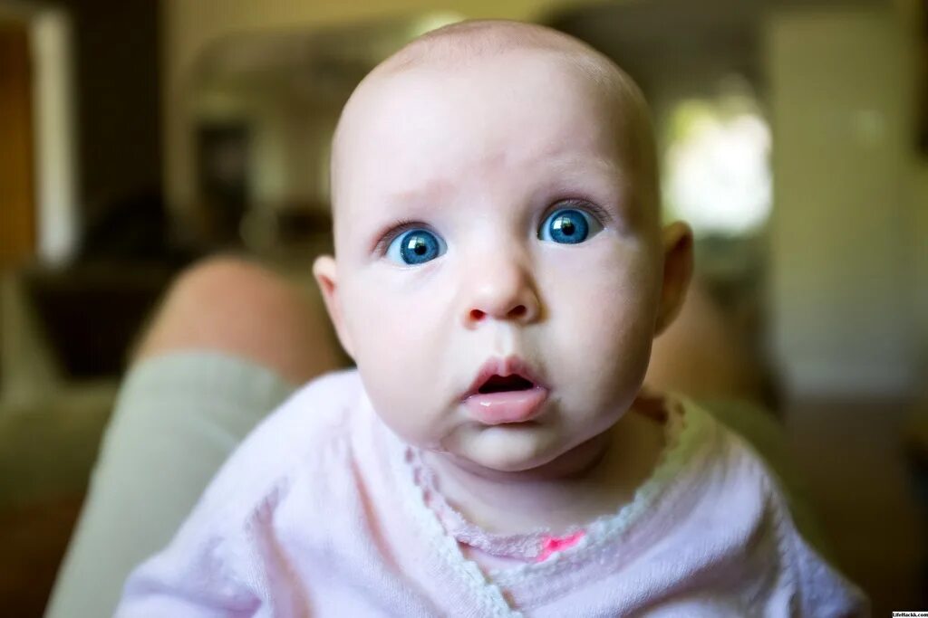 Глаза ребенка. Цвет глаз новорожденного ребенка. Цвет глаз у грудничков. Дети с голубыми глазами.