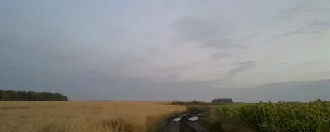 Погода бурханкуль троицкого