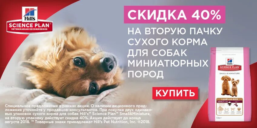 Реклама корма для животных. Корм для животных упаковка. Сухой корм для собак реклама. Реклама корма для собак. Купить корм для собаки красноярск