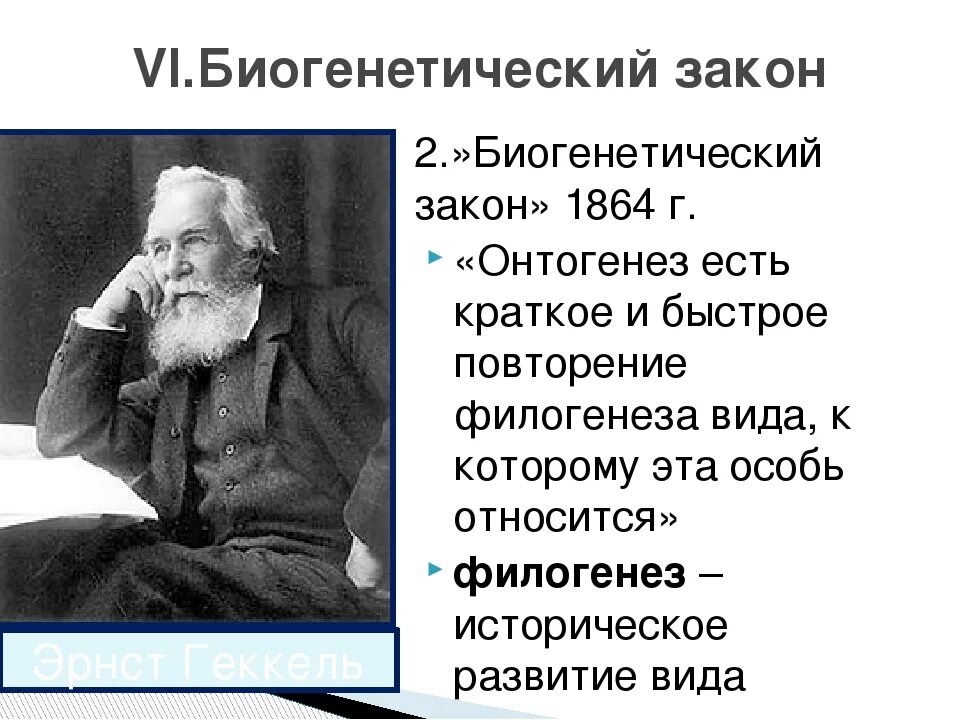 В чем значение биогенетического закона