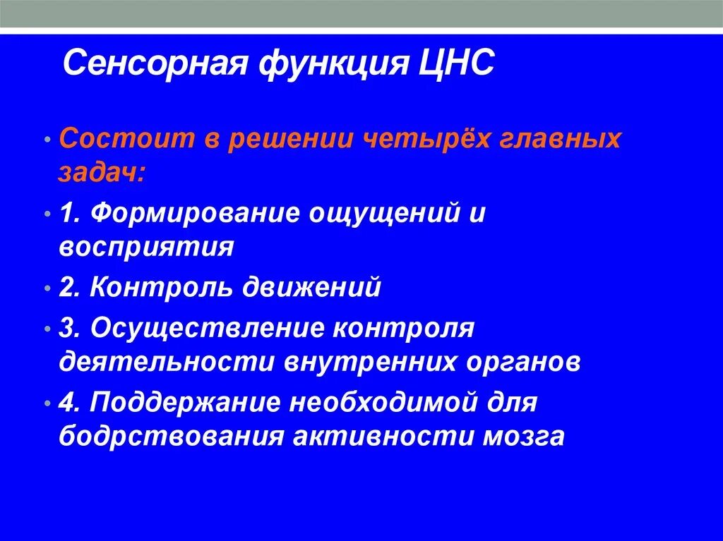 Сенсорная функция нервной системы. Сенсорные функции. Сенсорные функции центральной нервной системы. Функции нервной системы сенсорная функция. Функции центрального отдела нервной системы