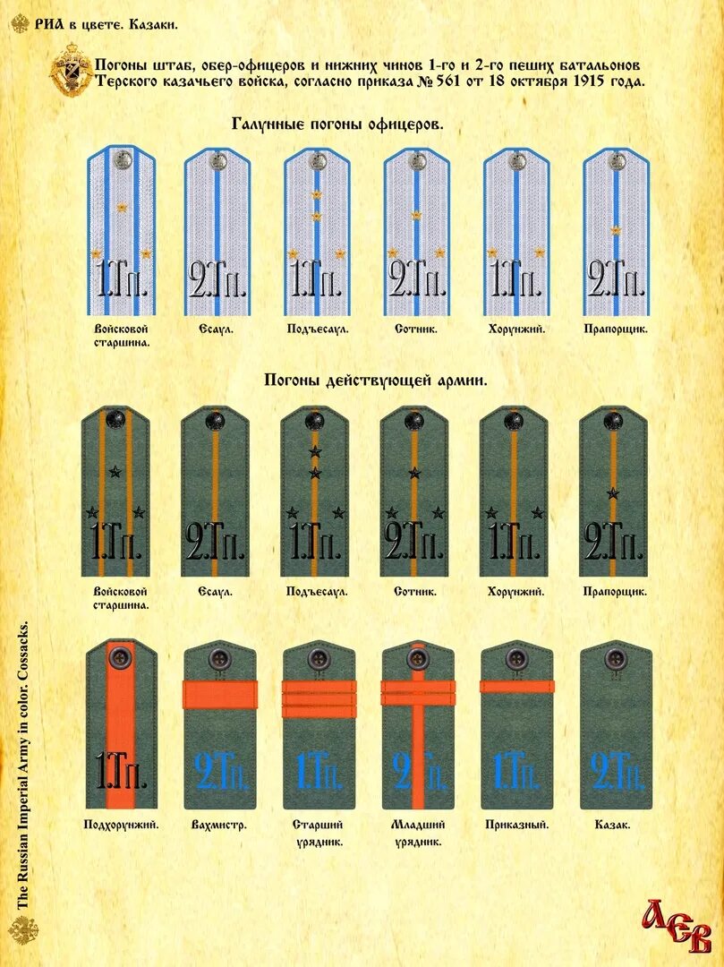 Младший офицерский состав в армии россии. Погоны офицеров российской императорской армии. Лейб гвардии царскосельский полк. 135-й пехотный керчь-еникальский полк. Калининград 7 батальон офицерский состав.