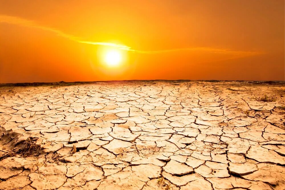 Солнце сильно палит. 17 Июня Всемирный день борьбы с опустыниванием и засухой. Жара засуха. Жара в пустыне. Жаркая пустыня.