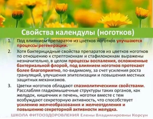 Чем полезны цветки календулы. Календула лекарственная описание растения. Лечебная трава календула. Цветки календулы чем полезны. Календула лечебные свойства.