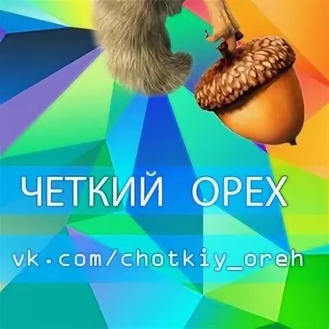 Фундук 4219. Группа орешки. Тухлые орехи. Четкий орех это. Фрукты и орехи.