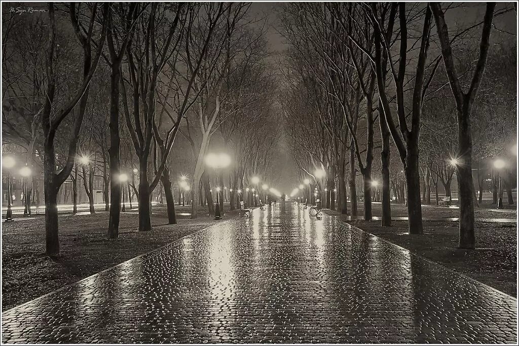 Город вечер дождь. "Дождливый вечер". Дождливая ночь. Дождливая улица ночью. Дождь ночью.