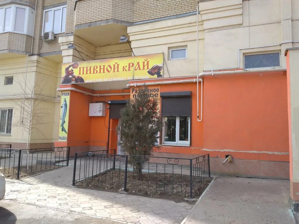 бабаевского 31 б астрахань. пиво хадыженское срок. ирландский эль бочкари. кунгурское пиво в банке. пивной край.