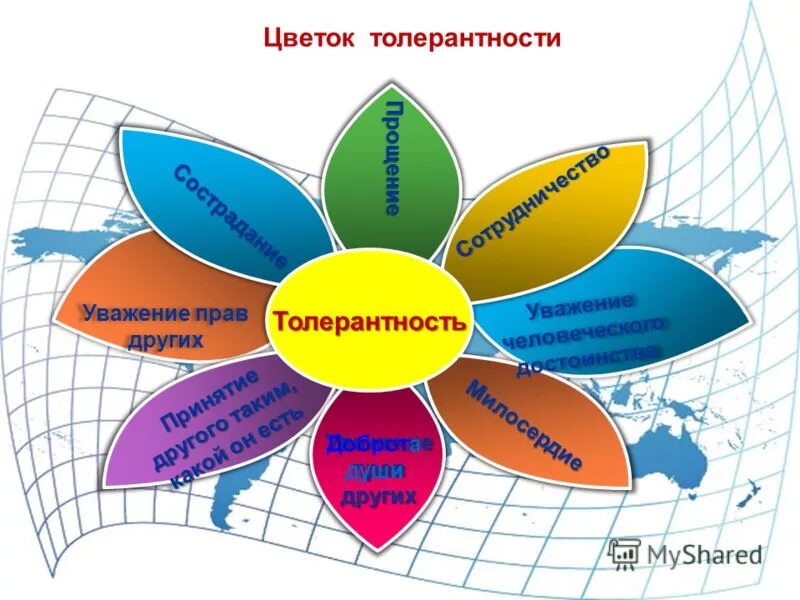 Цветок толерантности в школе. Качества толерантности человека. Качества толерантности для детей. Цветок толерантности презентация. Рост толерантности пав