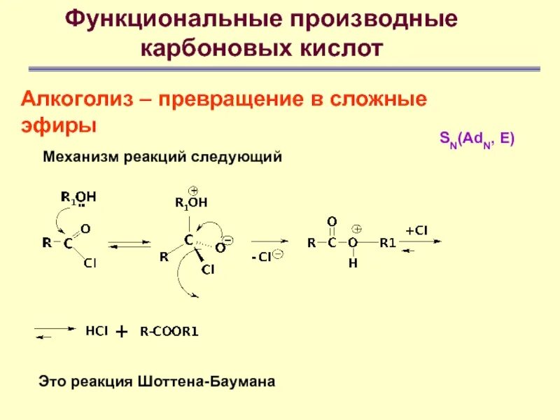 Производные карбоновых кислот 10 класс. Алкоголиз карбоновых кислот. Механизм реакции Шоттен Баумана. Производные карбоновых кислот кратко. Механизм реакции ацилирования солей карбоновых кислот.