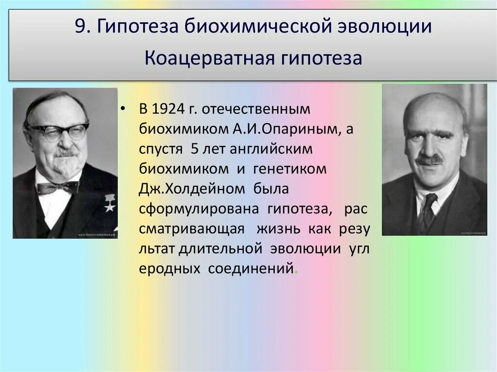 Гипотеза биохимической эволюции суть. Теория биохимической эволюции сторонники. Основоположники биохимической эволюции. Теория биохимической эволюции Опарина.