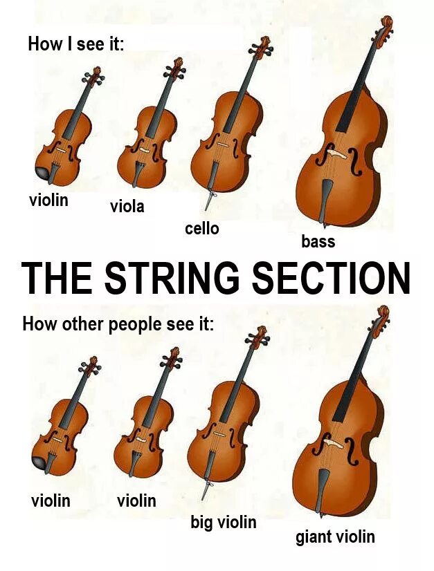 Strings section