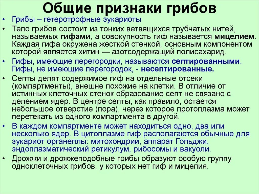 Каковы общие признаки грибов 5