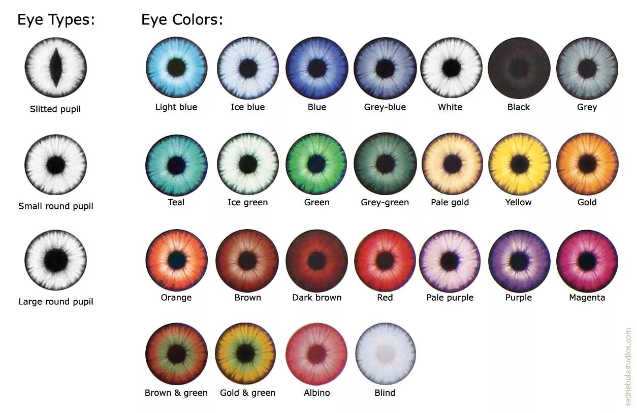 Цвет глаз человека определяется пигментацией. Цвета глаз с названиями. Цвет глаз и название оттенков. Различные оттенки глаз. Цвета Радужки глаз названия.